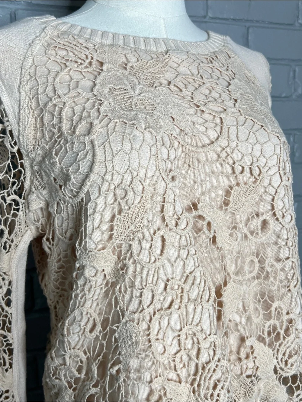Free People Pretty Rad Champagne Crochet Open Back Lace Long-Sleeve Top - XS
